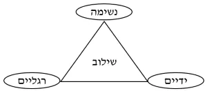 משולש הבניה הטרומית