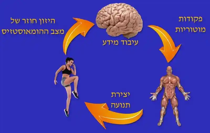 אדם עייף