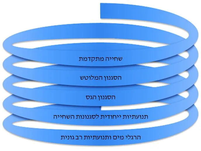 מודל הגישה הסלילית בלימוד השחייה