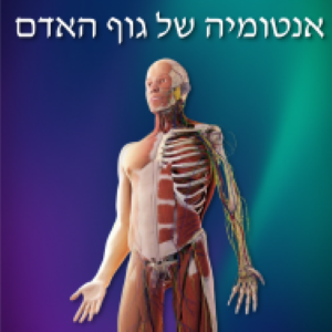 אנטומיה